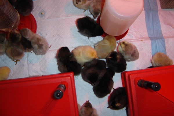 Another water station